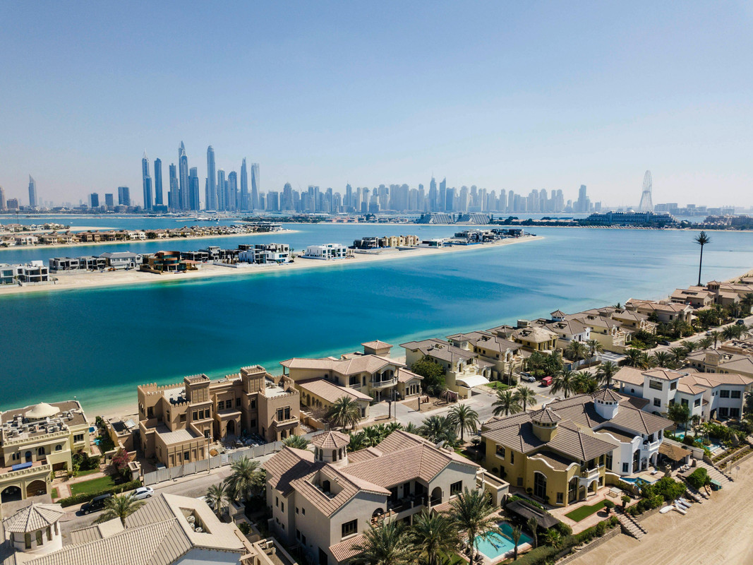 An image of a frond on the palm facing the Dubai Marina skyline