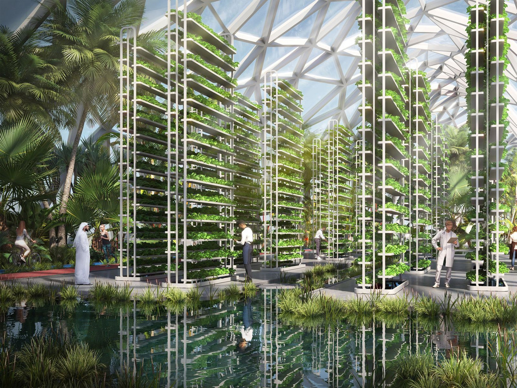 An interior shot of the loop in Dubai (artist rendering)
